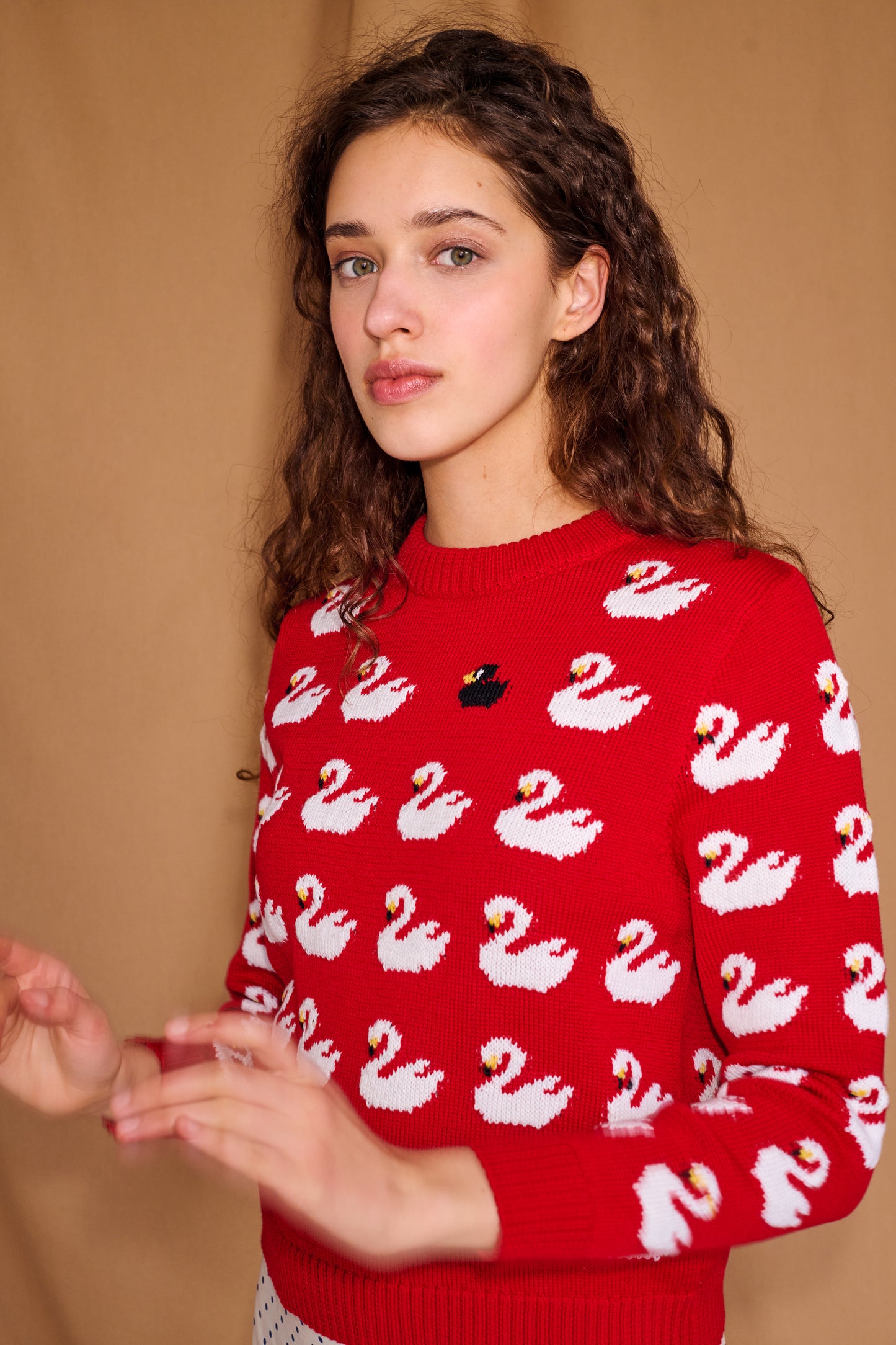 Ugly Duckling Sweater in Red