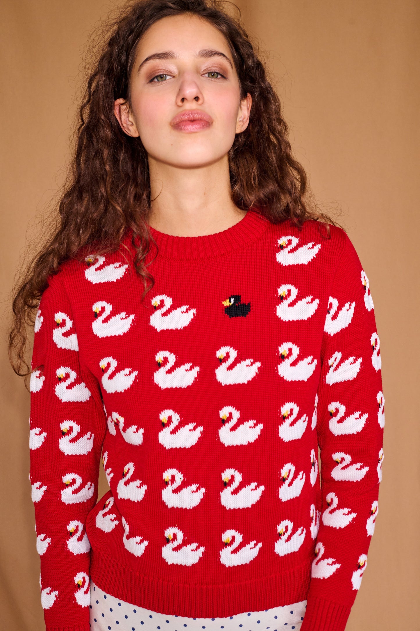 Ugly Duckling Sweater in Red