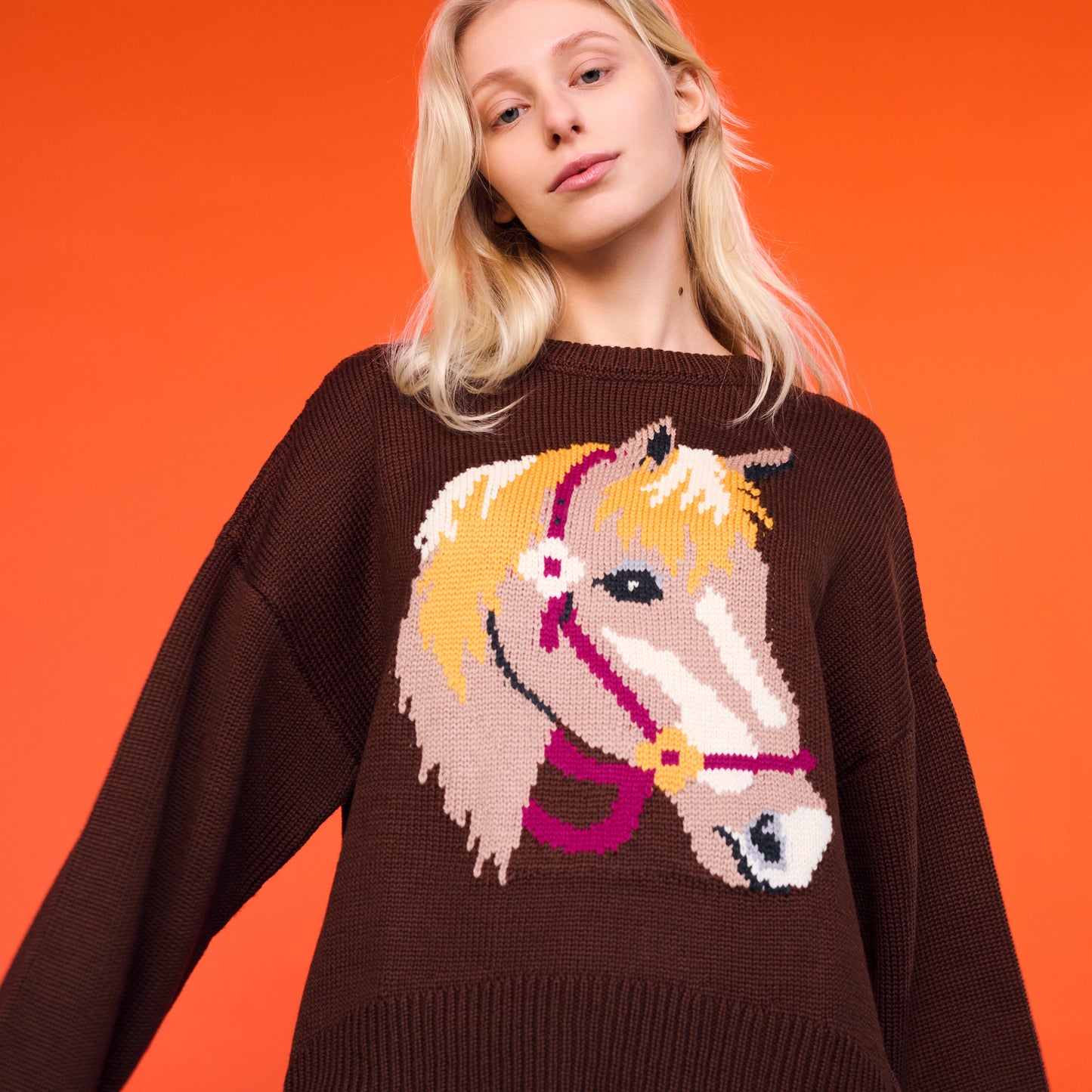 Cheval Intarsia Sweater in Brown Multi